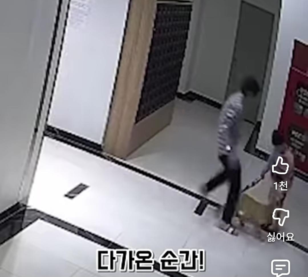 44315.jpg