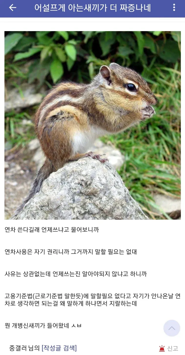 1000046840.webp