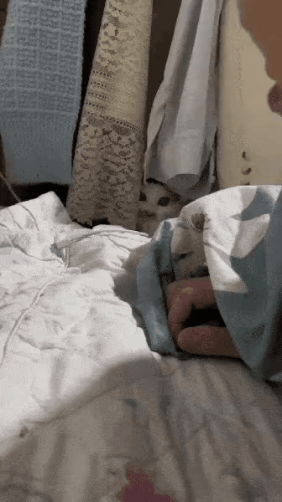 GIF_20260413_111424_953.gif