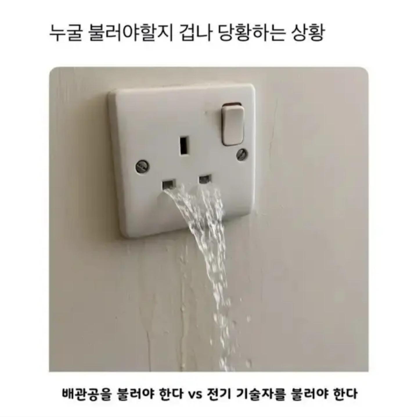 1000046792.jpg