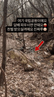 GIF_20260413_163527_755.gif
