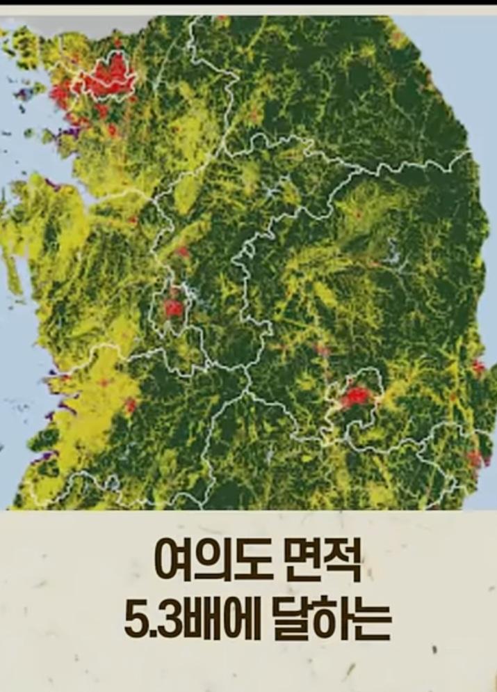 44908.jpg