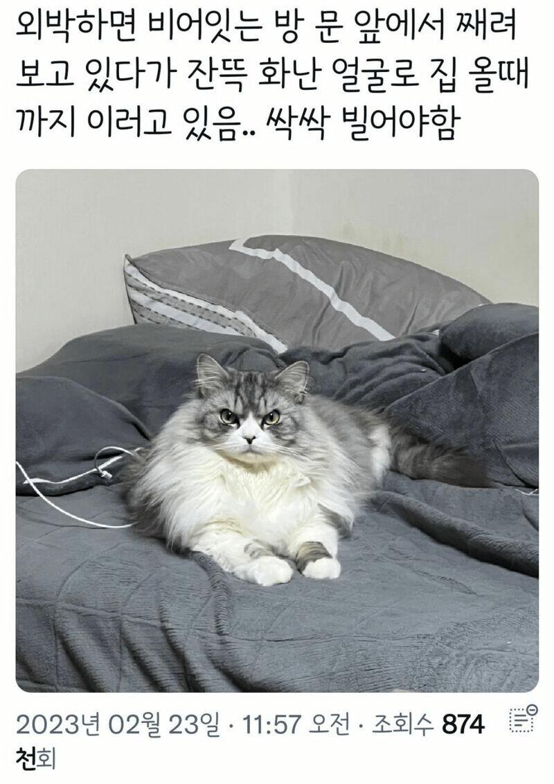 1000097287.jpg