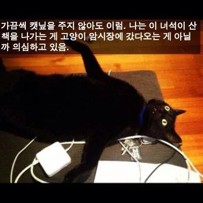 1000097288.webp