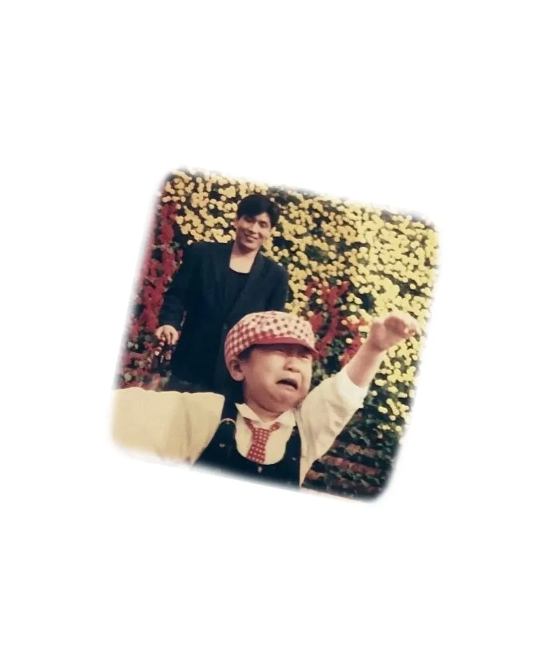 15.webp