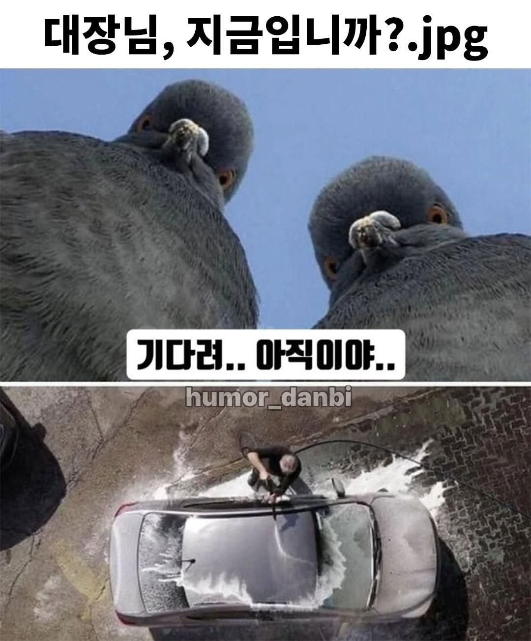 1000047187.jpg