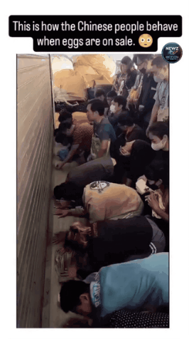 GIF_20260414_113511_236.gif