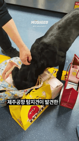 GIF_20260414_132829_087.gif