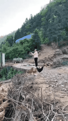GIF_20260414_134007_979.gif