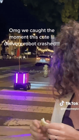 4.gif