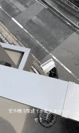 ezgif-8aaf175f9f9ff6f6.gif
