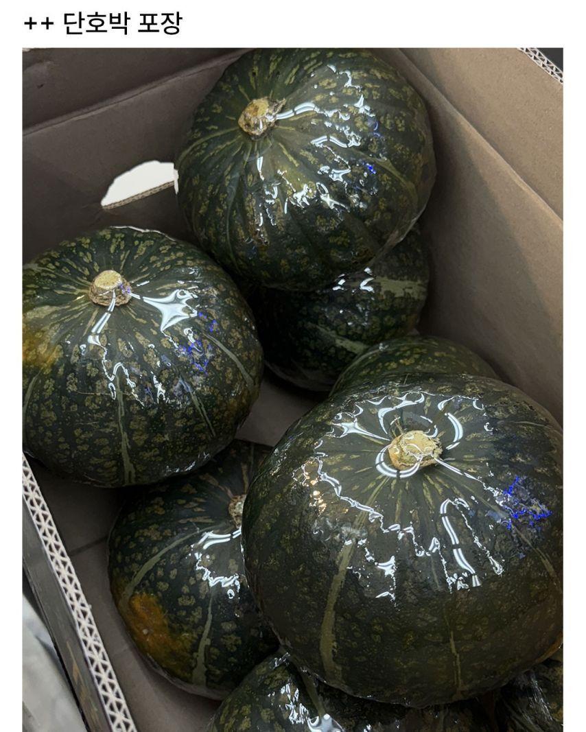 982259130_yNCn9oav_KTOkw6pIxEUbqXPY.jpeg