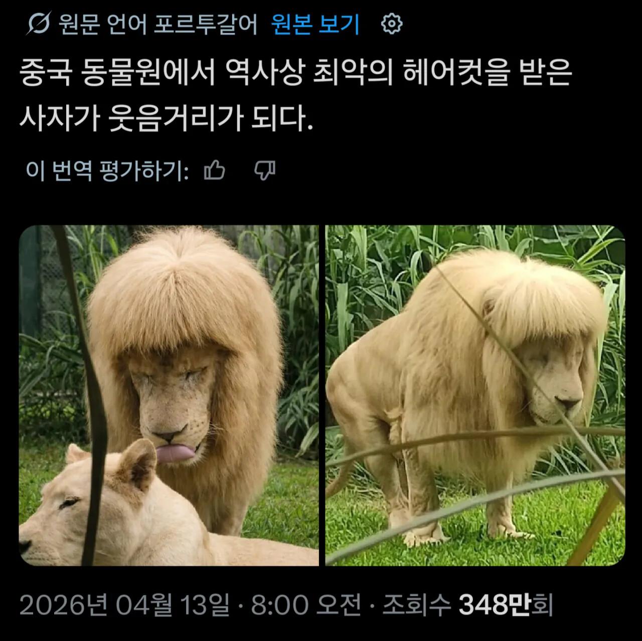 1000097386.jpg