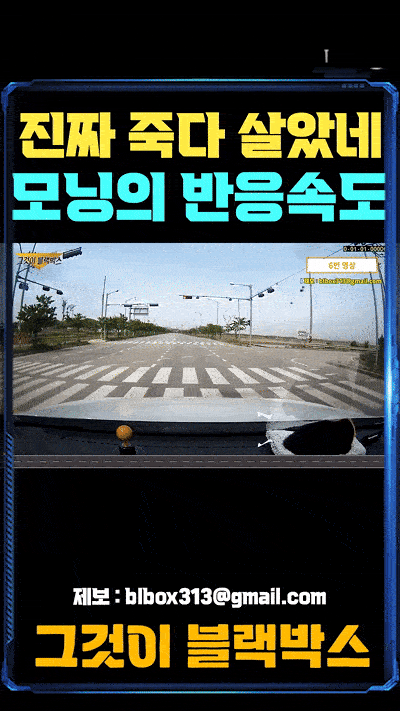 1000047520.gif