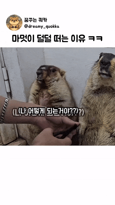 1000047523.gif