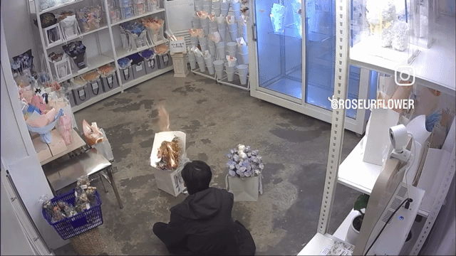 1776104132.gif