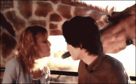 56AC966F3917910031.gif