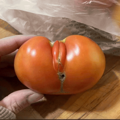 즙 싸고 있는 토마토.gif