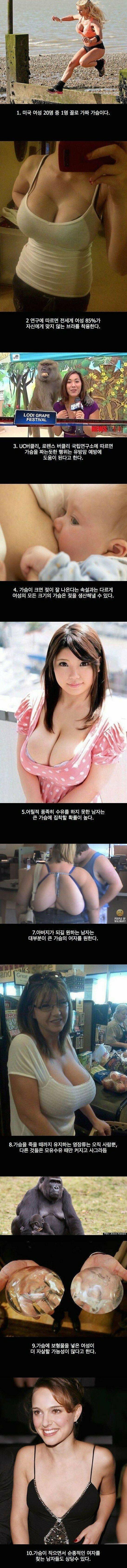 Internet_20260416_113851.jpeg