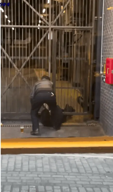 클릭하시면 원본 이미지를 보실 수 있습니다.