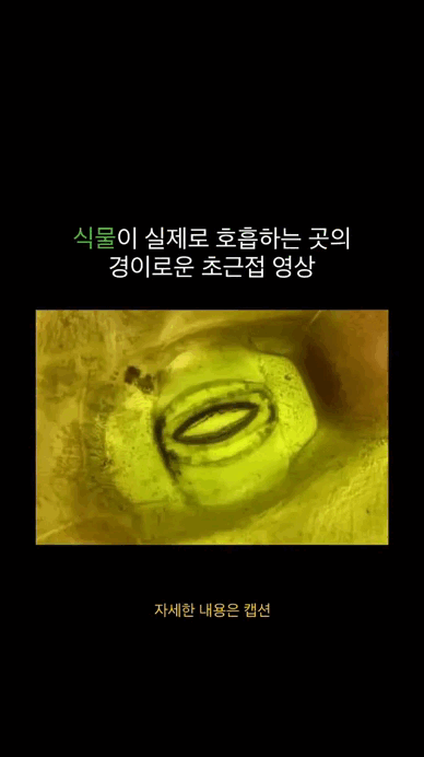 1000047925.gif