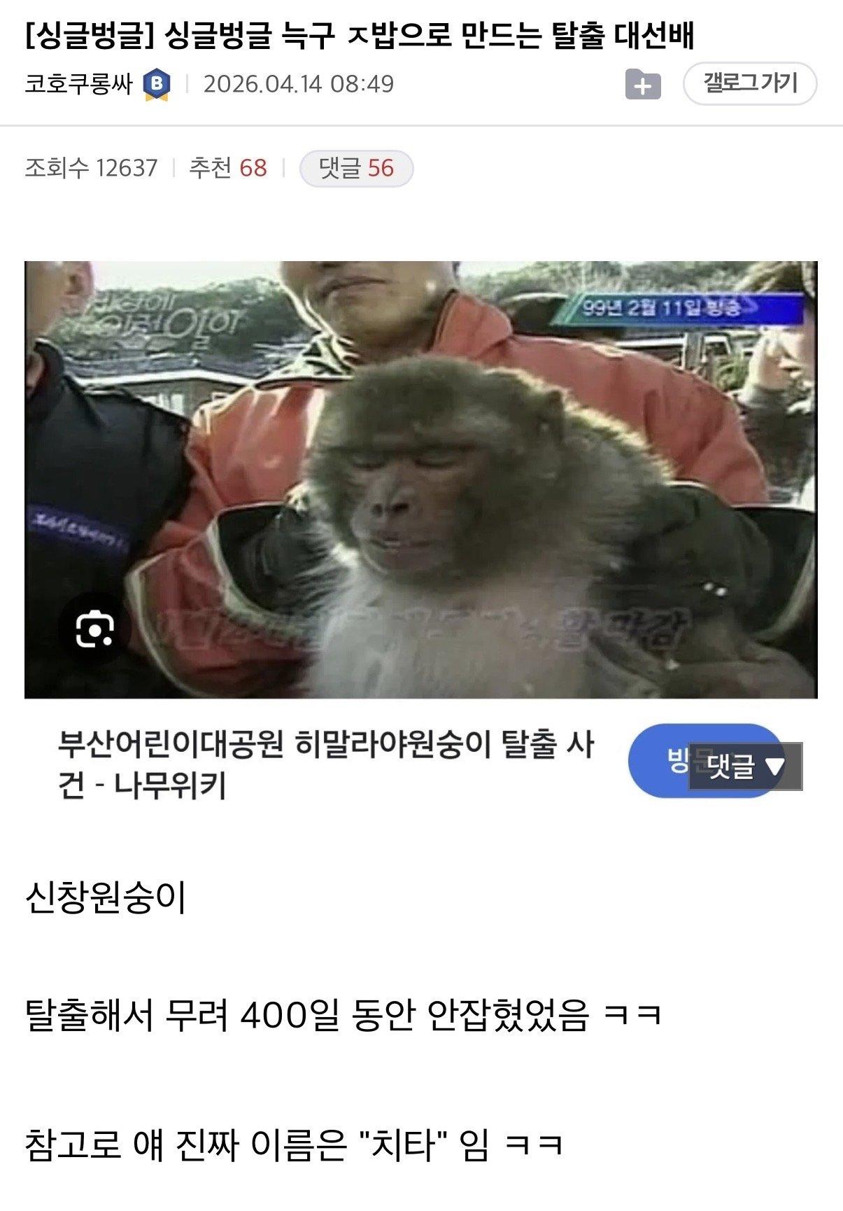 Internet_20260417_081823.jpeg