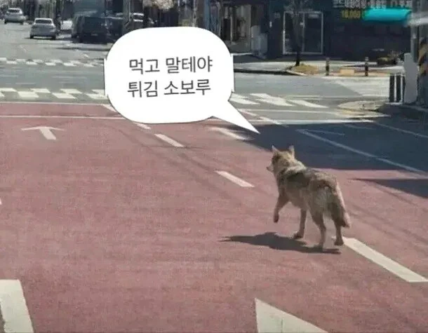 15040.webp