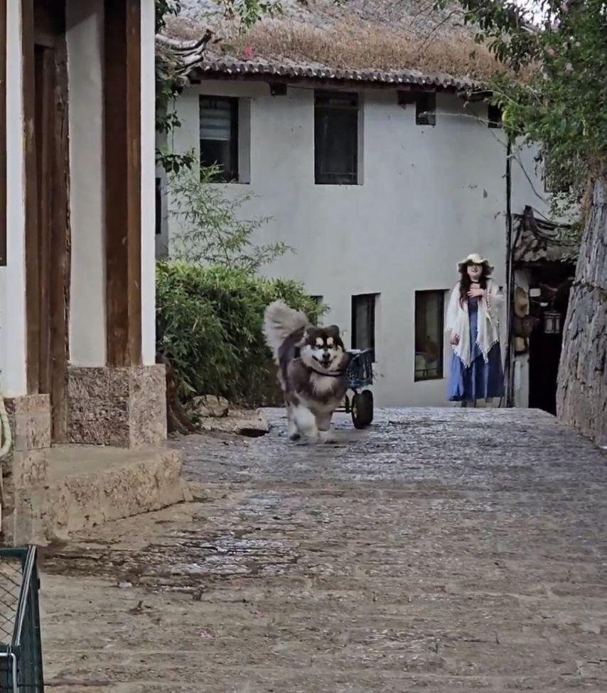 클릭하시면 원본 이미지를 보실 수 있습니다.