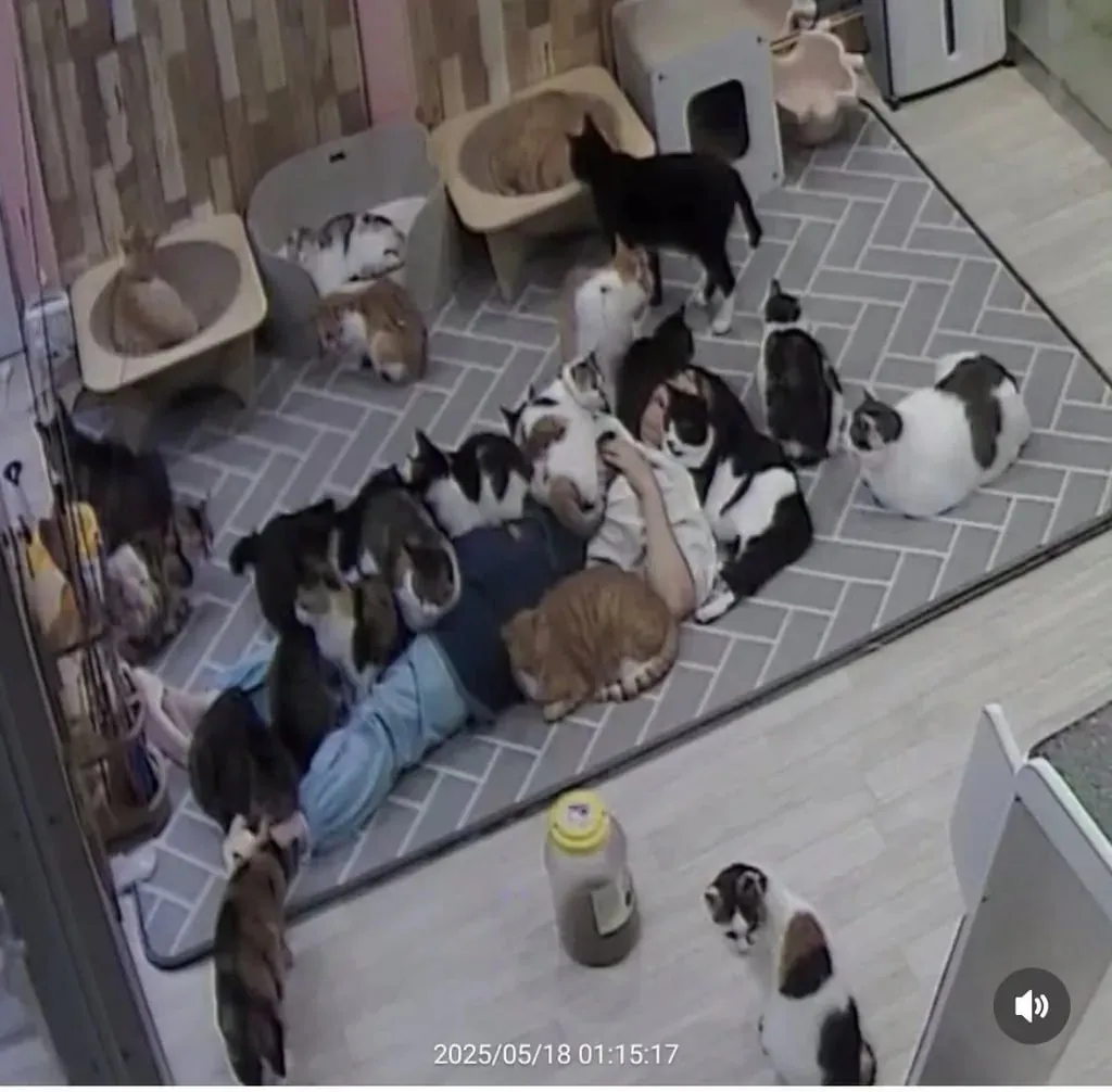 클릭하시면 원본 이미지를 보실 수 있습니다.