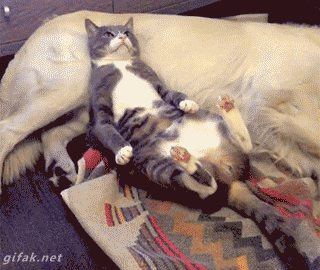 HxI557d1255087da.gif