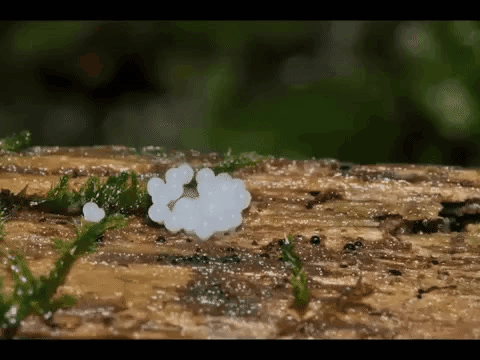 GIF_20260422_182056_862.gif