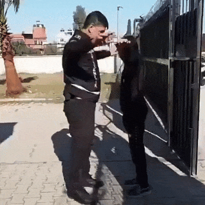 01.gif
