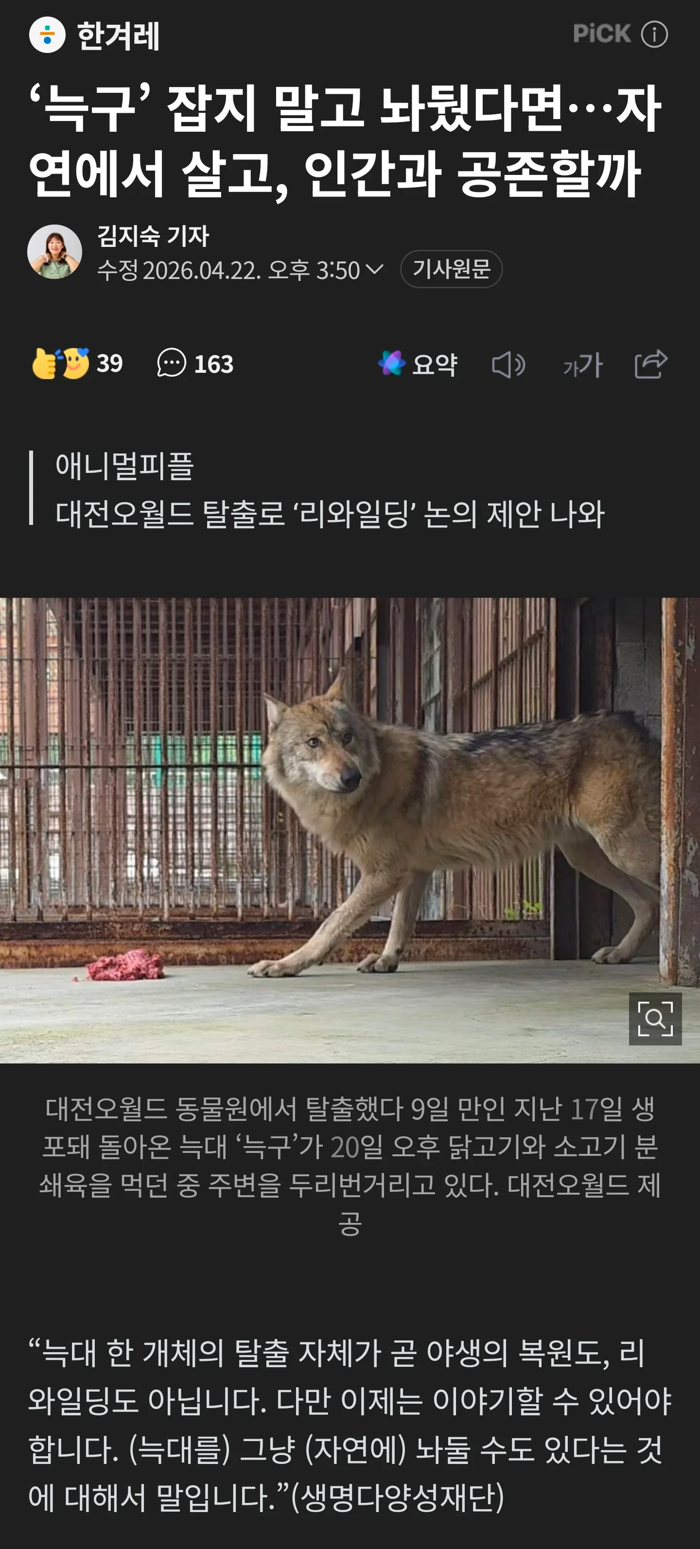 1.webp