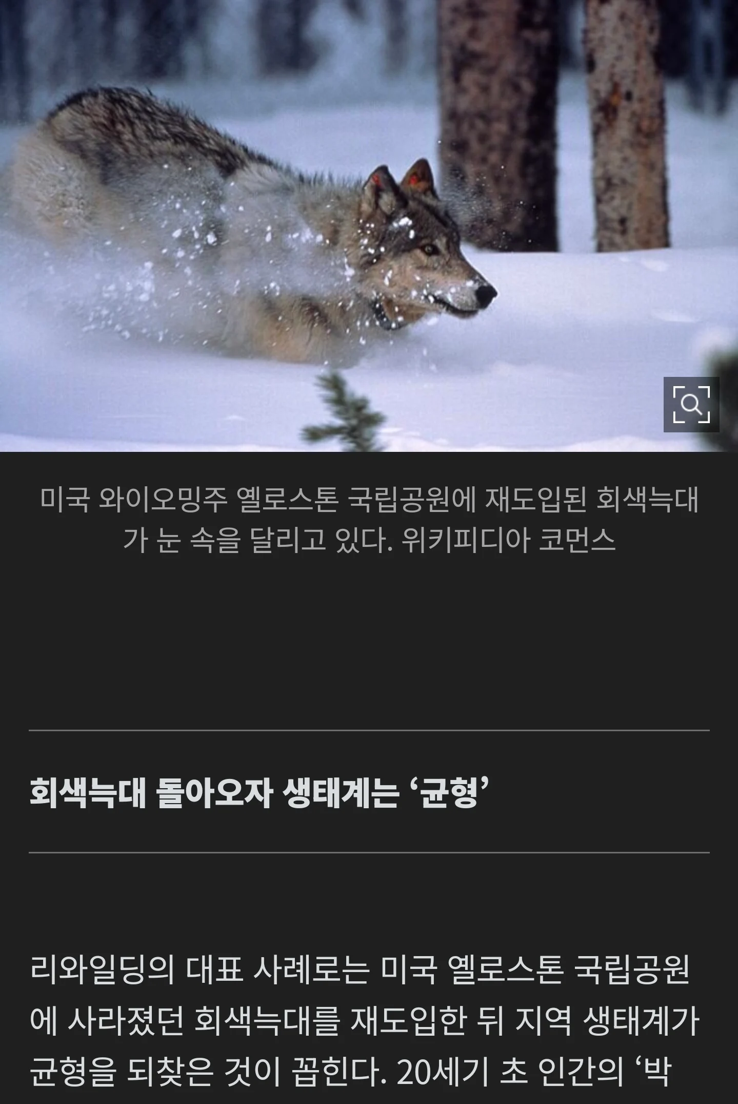 2.webp