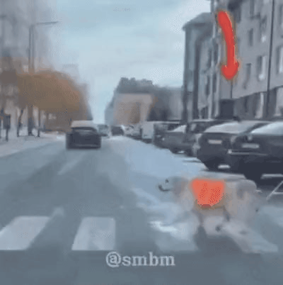 GIF_20260423_090359_195.gif