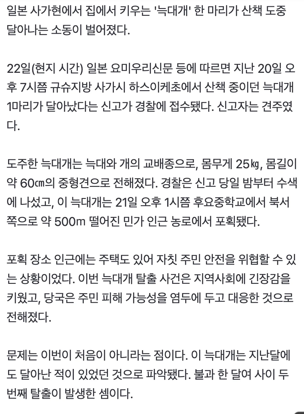 1.webp
