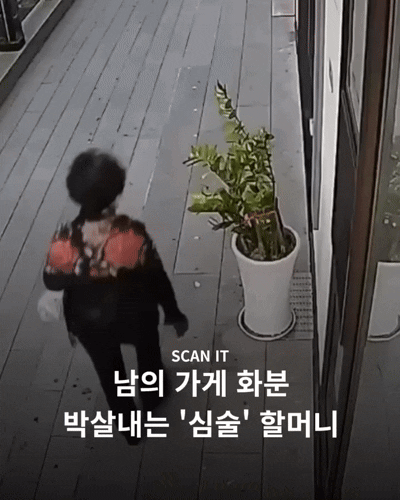 1000050586.gif