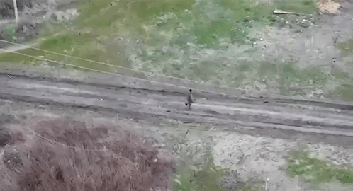 IMB_1Dn3Fl.gif