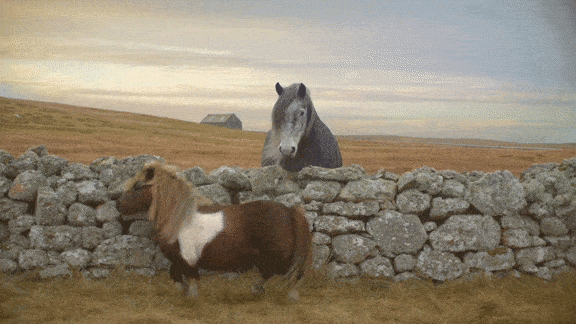 뒤로가기.gif