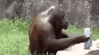 GIF_20260424_091043_247.gif