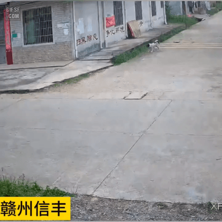 BwkW1692761980_970123458.gif