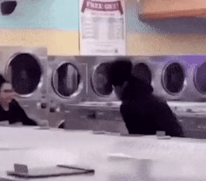 시퀀스  55.gif