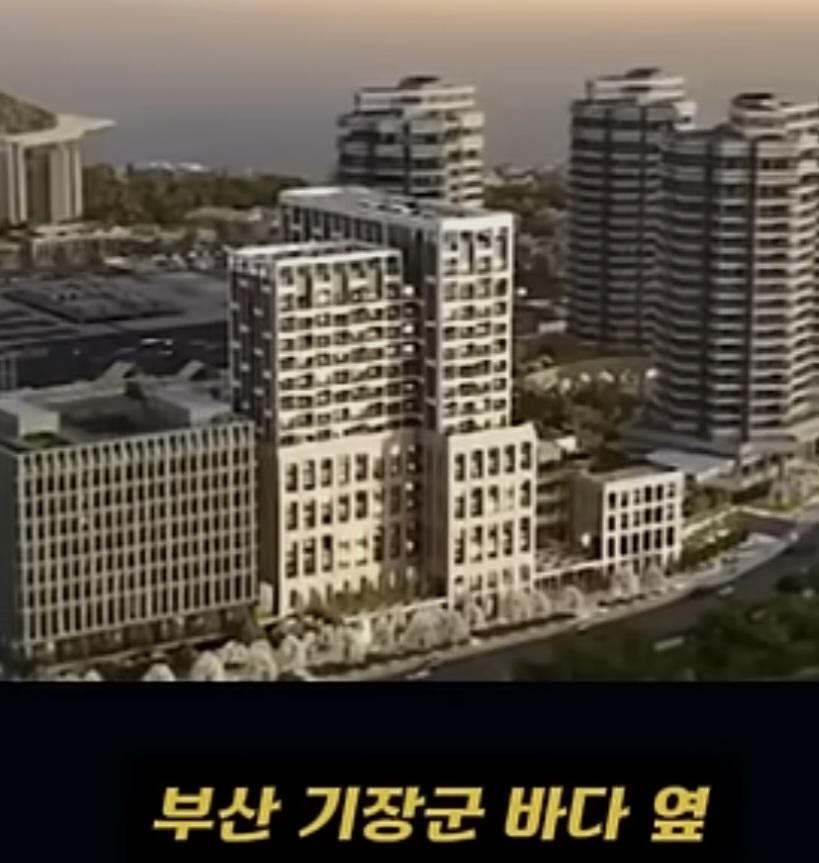 4956.jpg