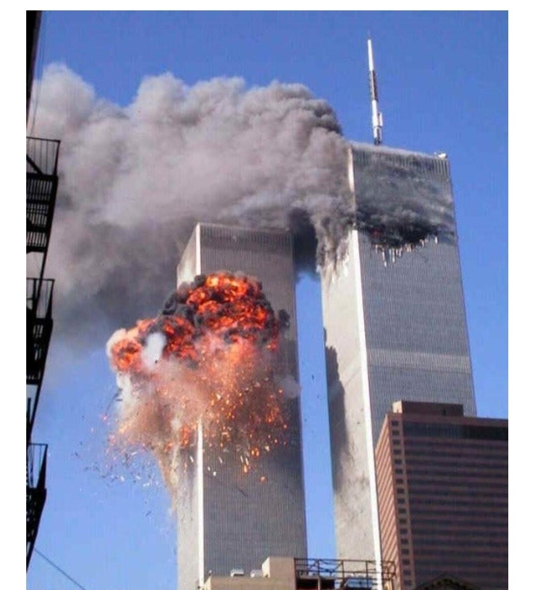1000313639.jpg