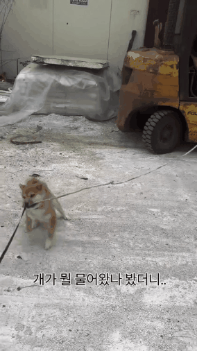 GIF_20260424_183021_400.gif