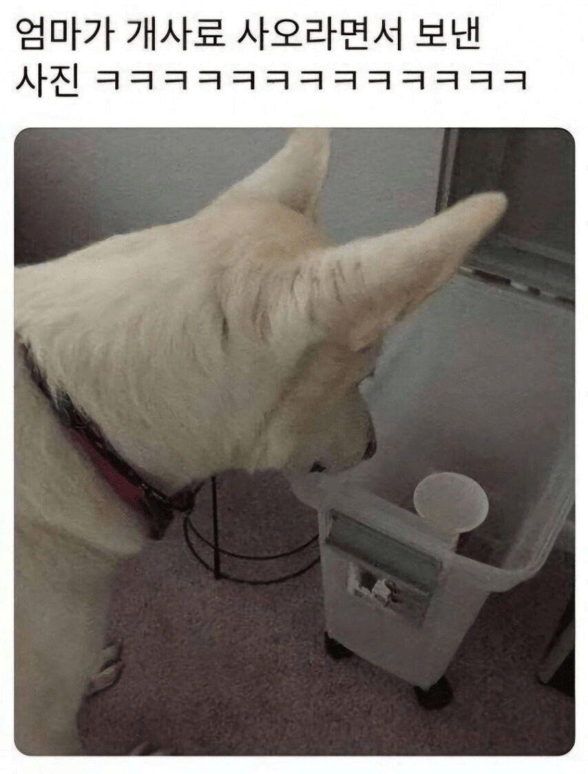 1776991443_243937821.jpg