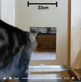 GIF_20260425_090929_901.gif