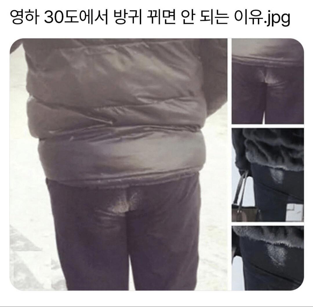 1000094215.jpg