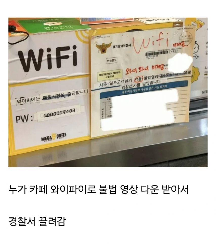 3031850600_QwOdDhHz_aM95SBLWCVnp2rif.jpg