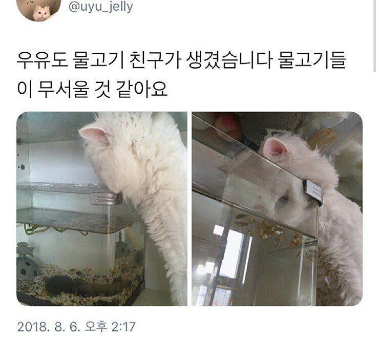 Internet_20260426_144101_5.jpeg